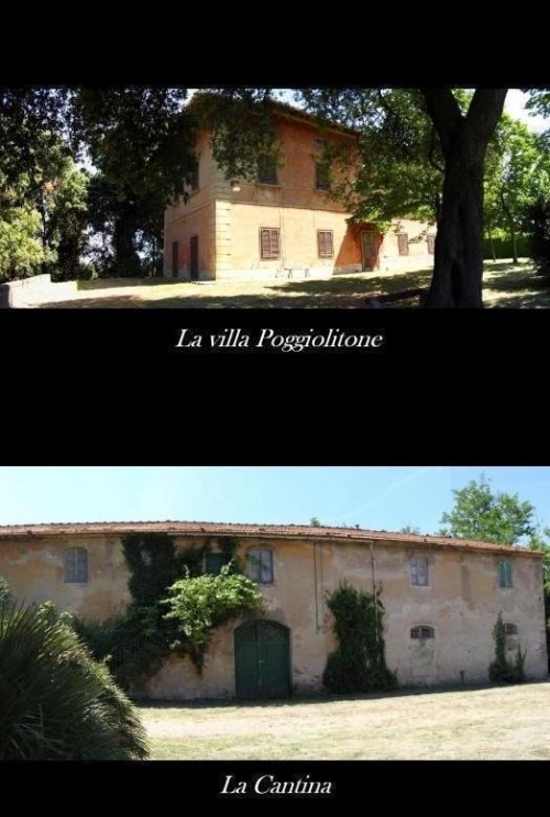 Sale Villa Borgo Poggiolitone with houses to be restored in Italy Tuscany (LI) - Immobiliare Fonte Allegra Srl